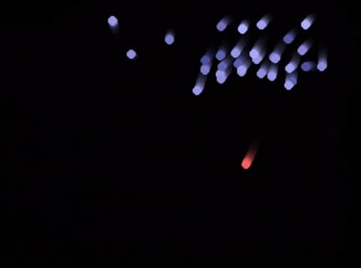 Flock Simulation